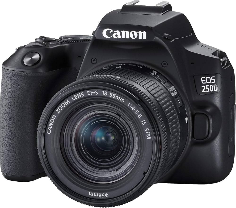 Canon EOS 250D Digital SLR Camera + 18-55mm f/4-5.6 IS STM Lens